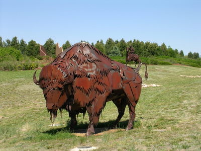 Colo Spgs Airport (now), Steel Buffalo.